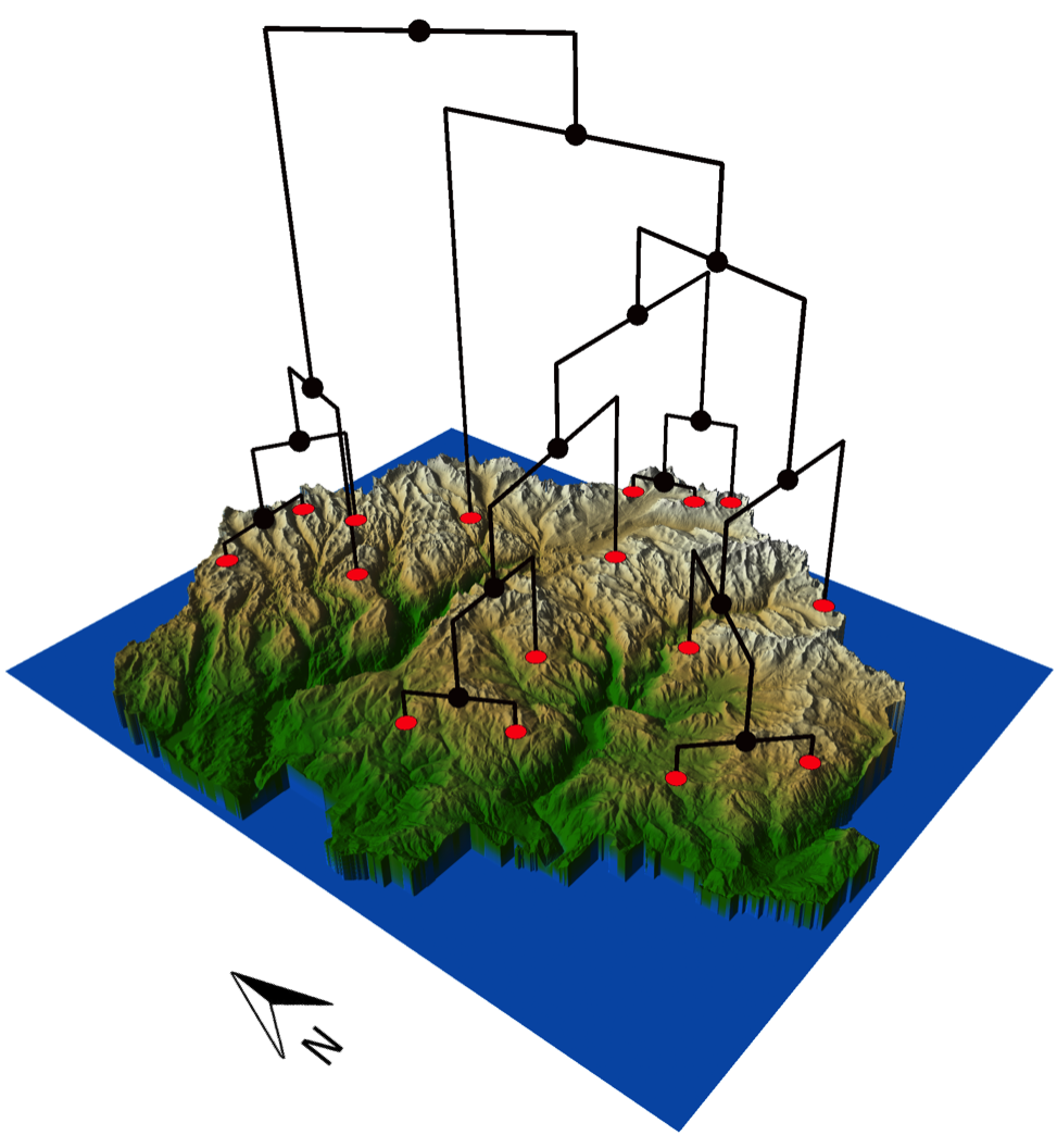 Lineage diversity of Yosemite toads across Yosemite National Park