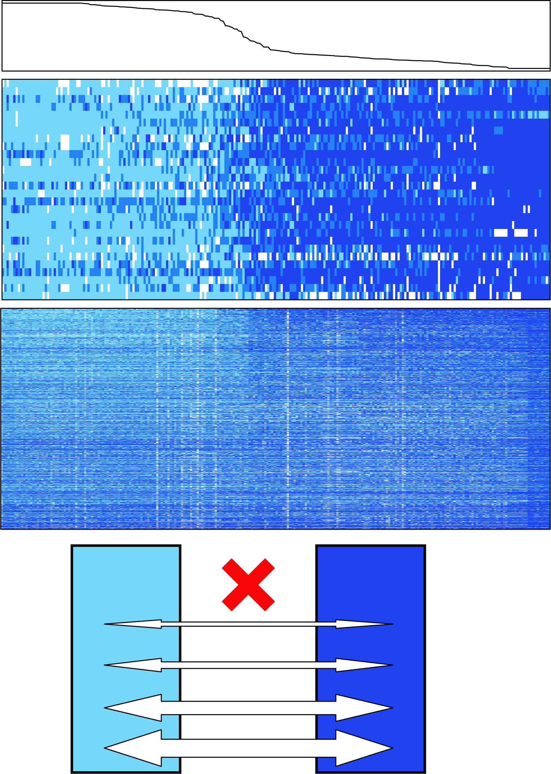 Genomic islands versus genomic rivers in Yosemite toads