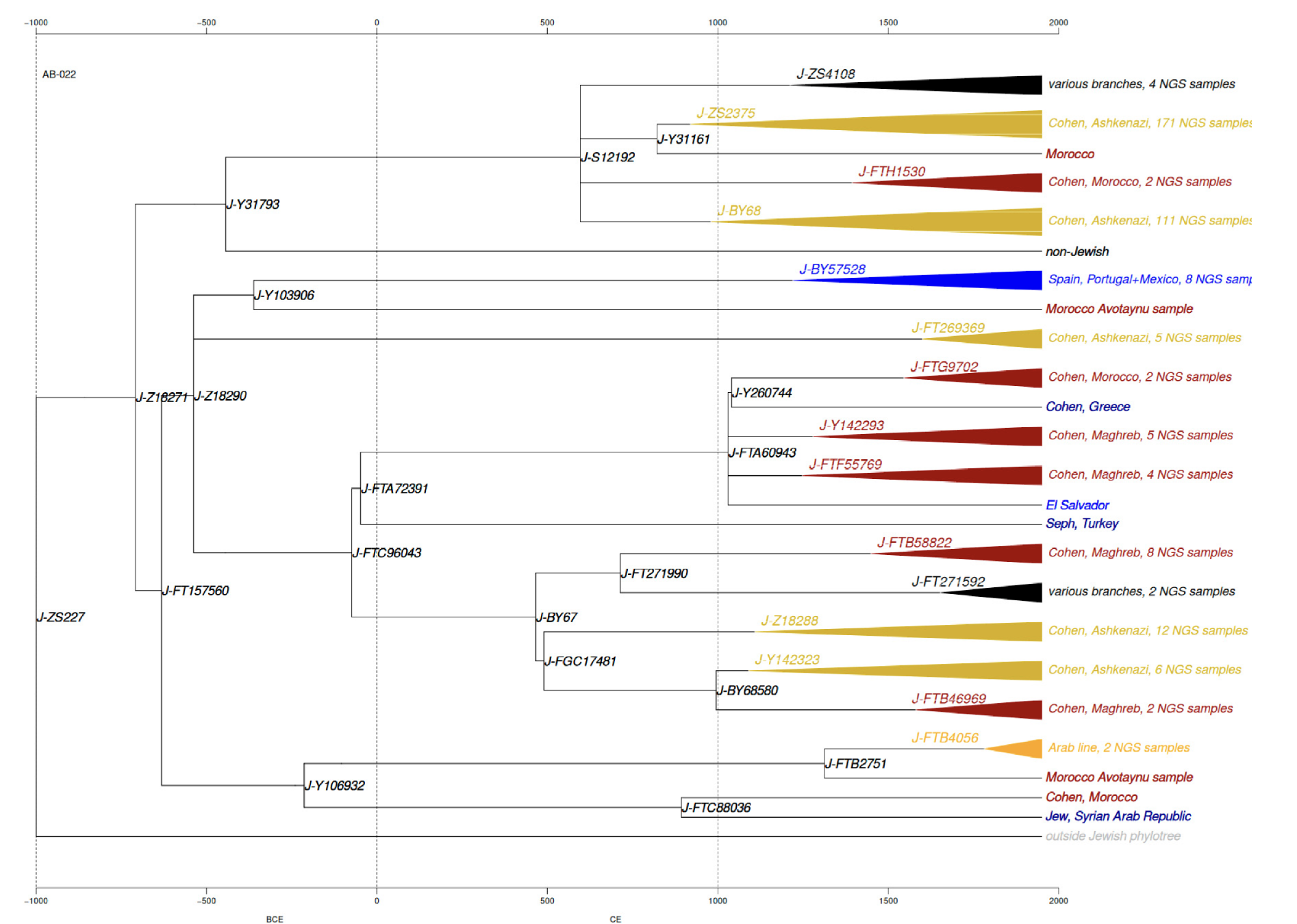 Summary of patrilineal genetic ancestry among Moroccan Jews