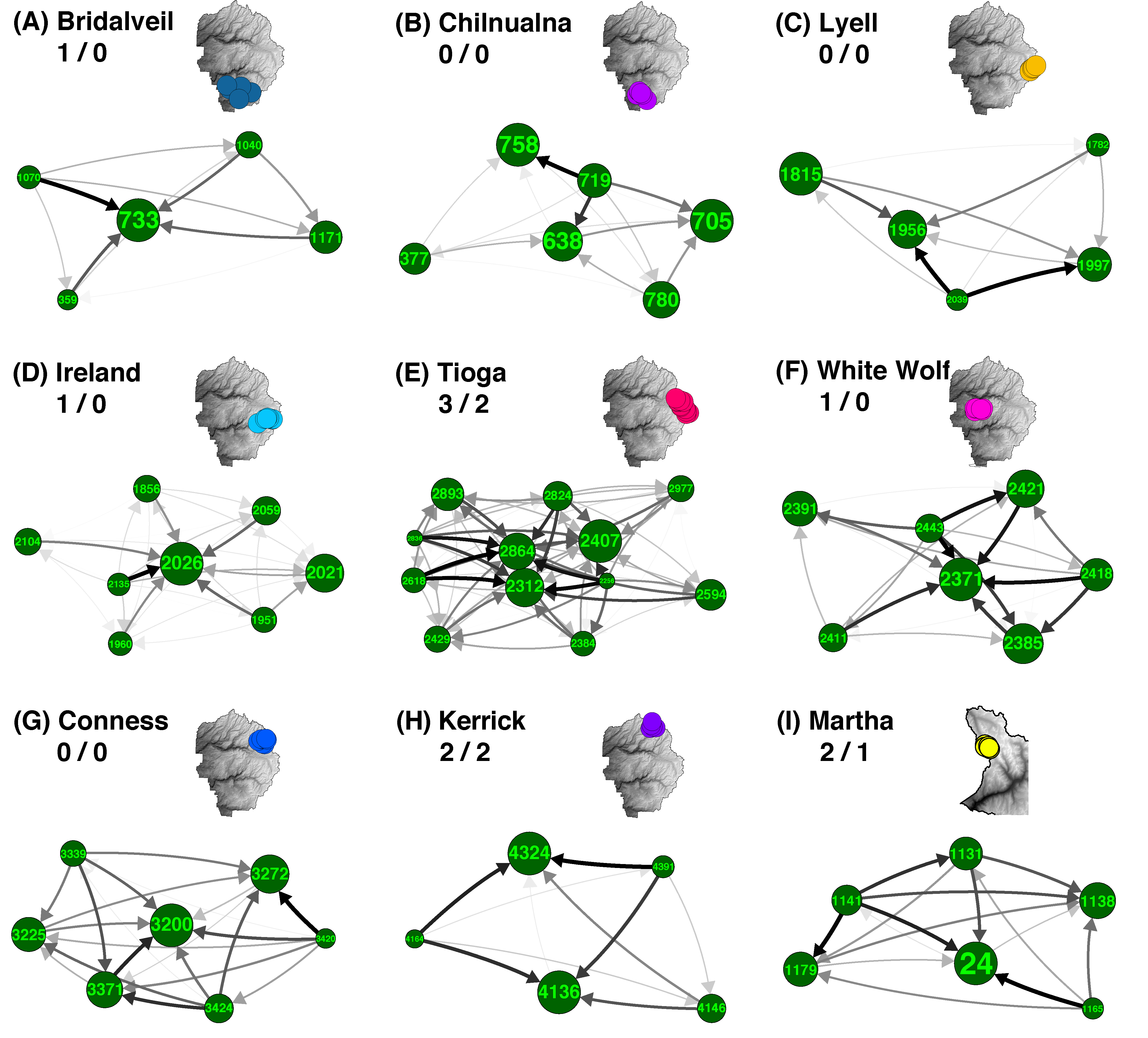 Network diagrams of meadow neighborhoods showing asymmetrical migration
