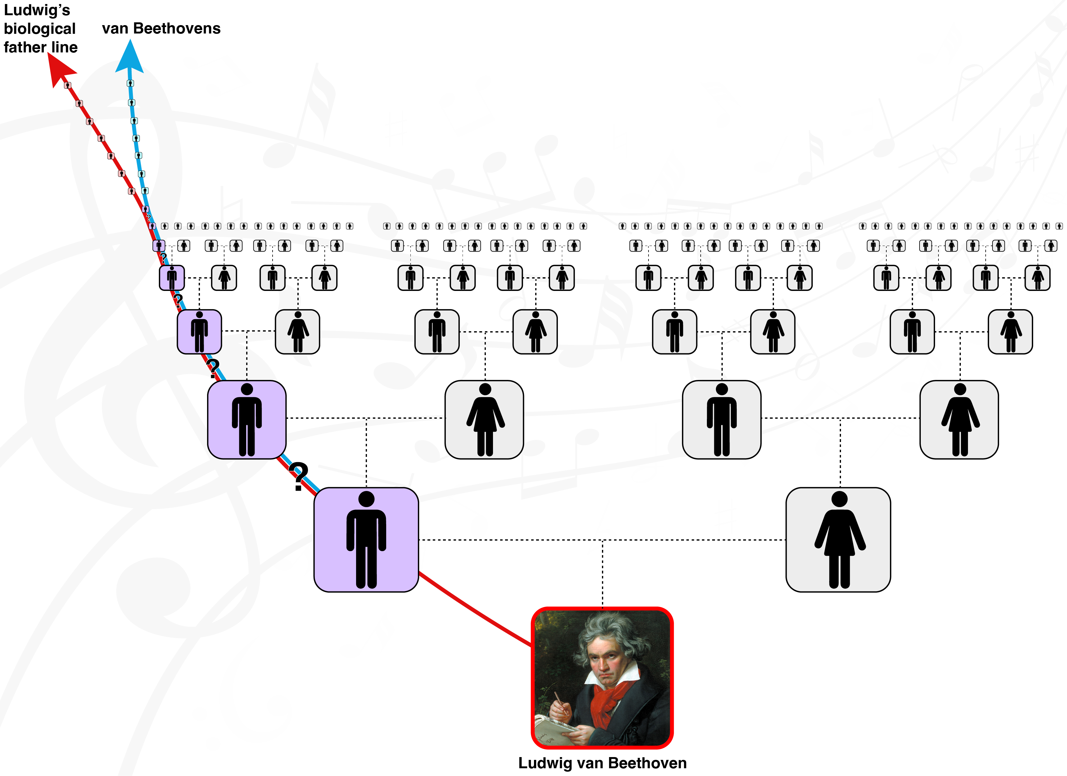 Diagram showing Ludwig's biological father line diverging from the van Beethoven line