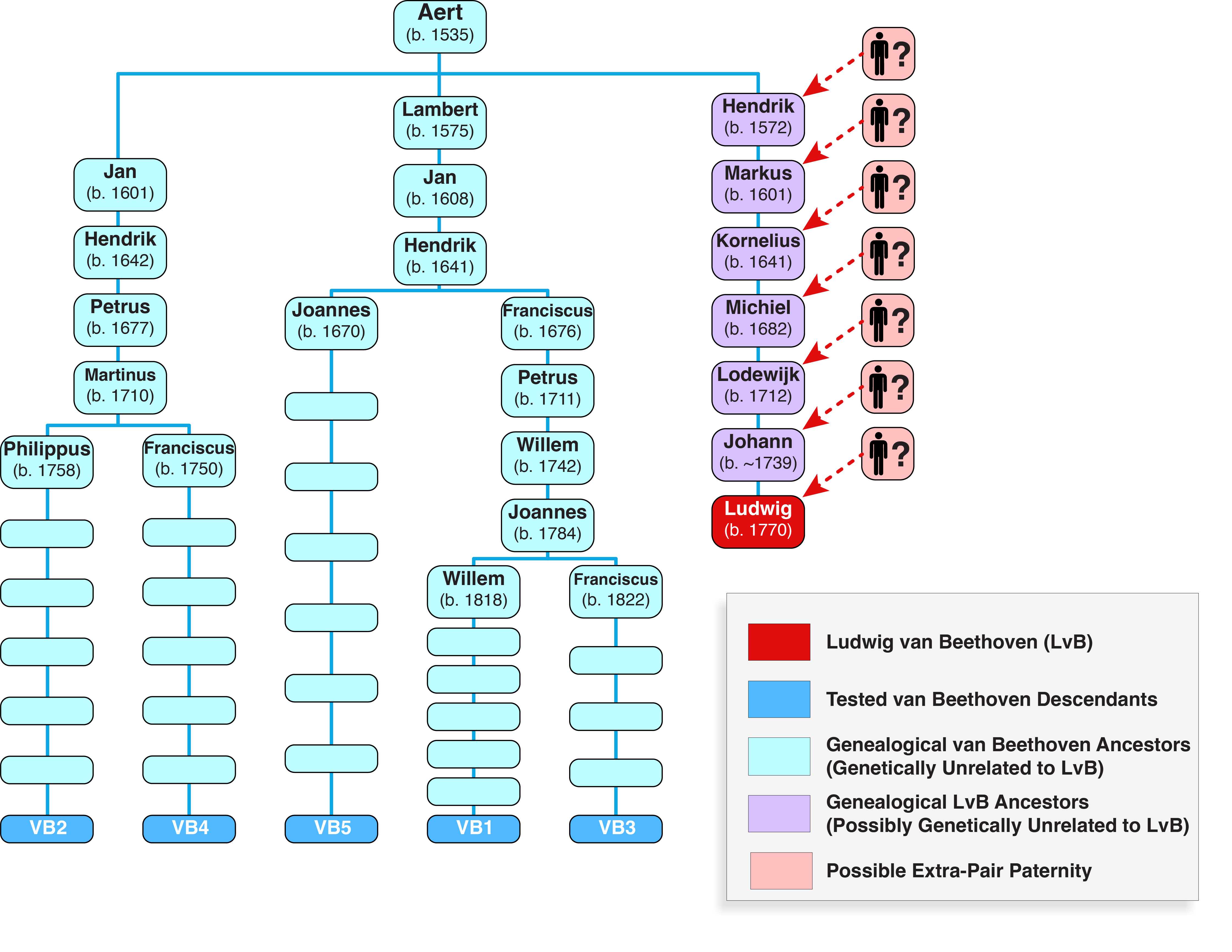 Documented van Beethoven genealogy from Aert van Beethoven to Ludwig, marking where the paternity break could fall