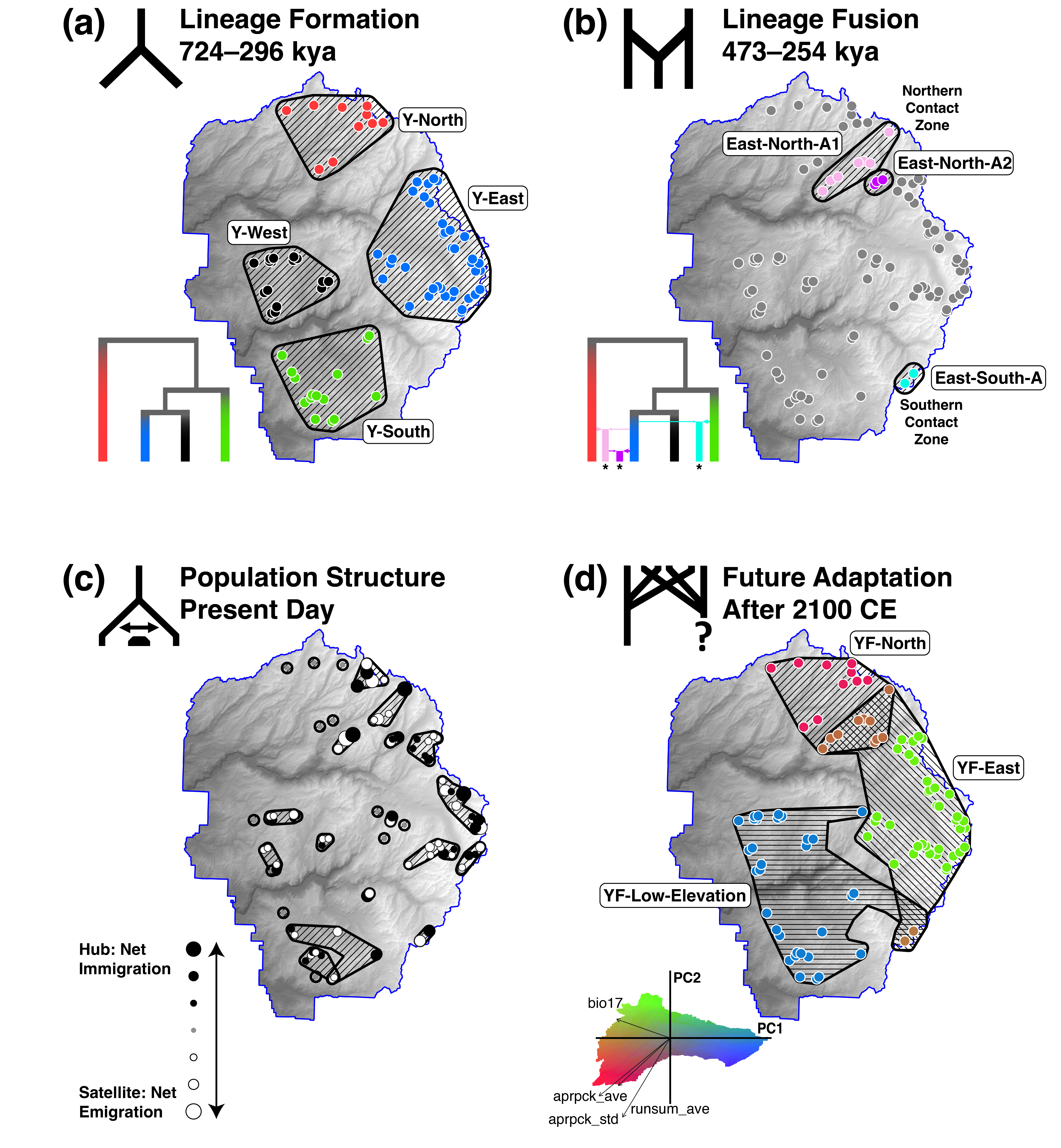 Four contrasting strategies for defining Yosemite toad conservation units across different time perspectives