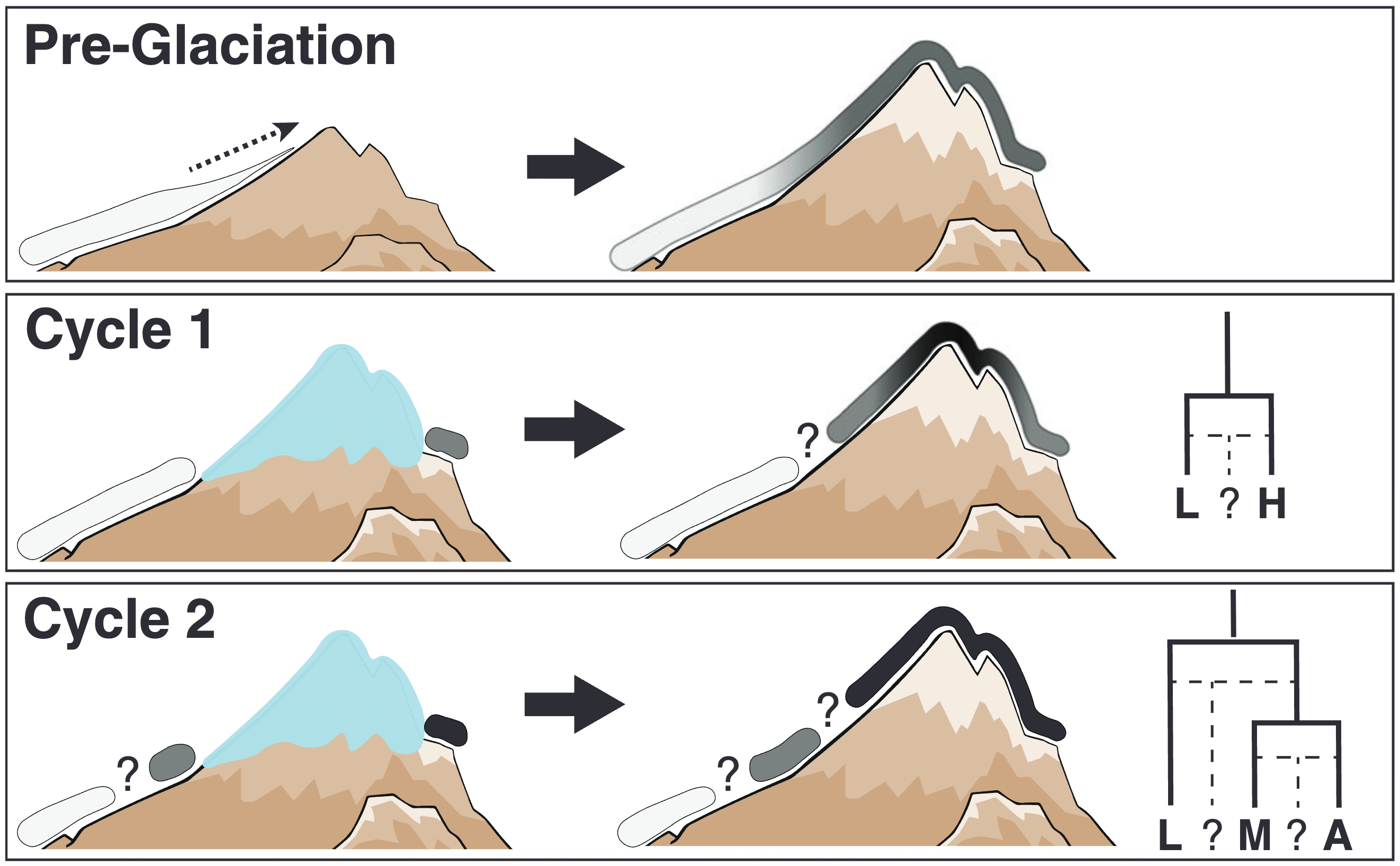 Diagram of the glacial pulse model of alpine lineage formation