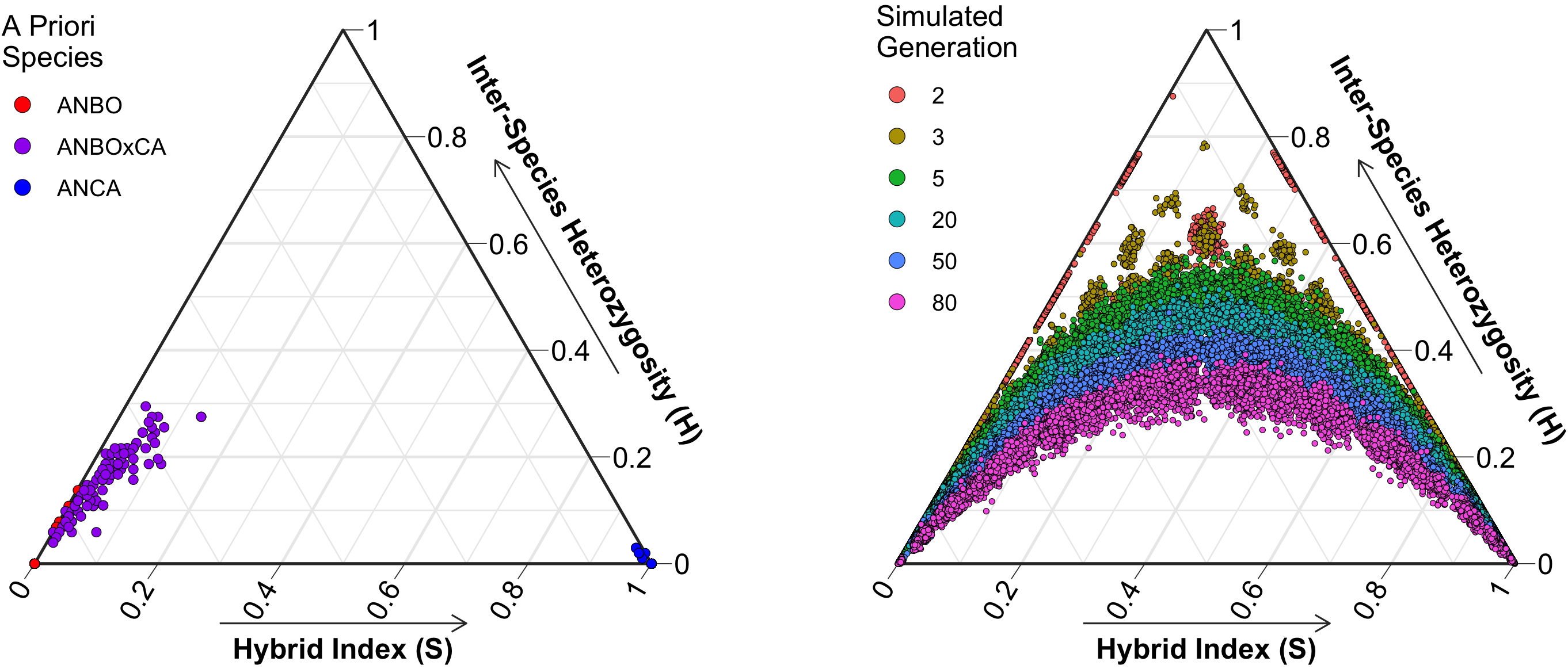 Triangle plots of hybrid index and interspecies heterozygosity, observed and simulated