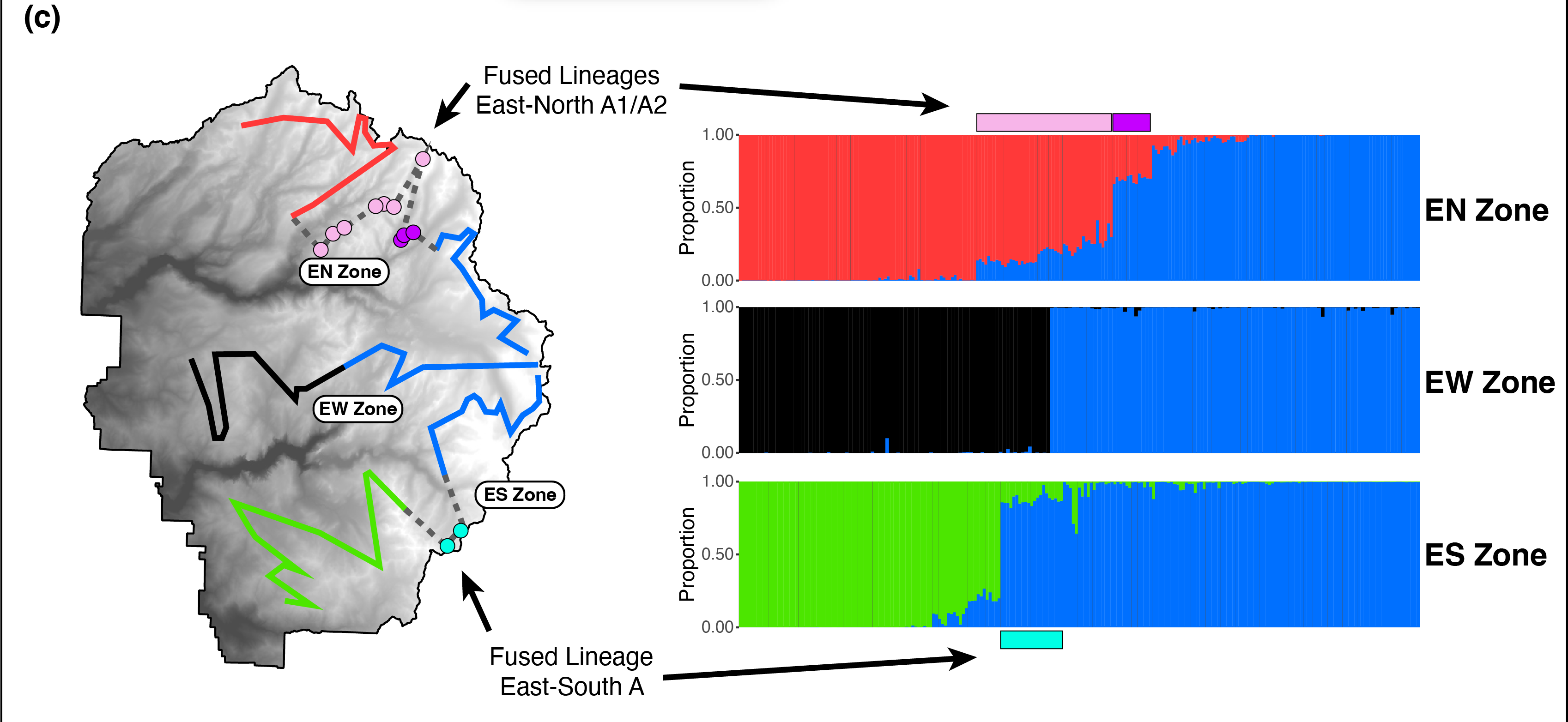 Map of three Yosemite toad contact zones with admixture proportions in each