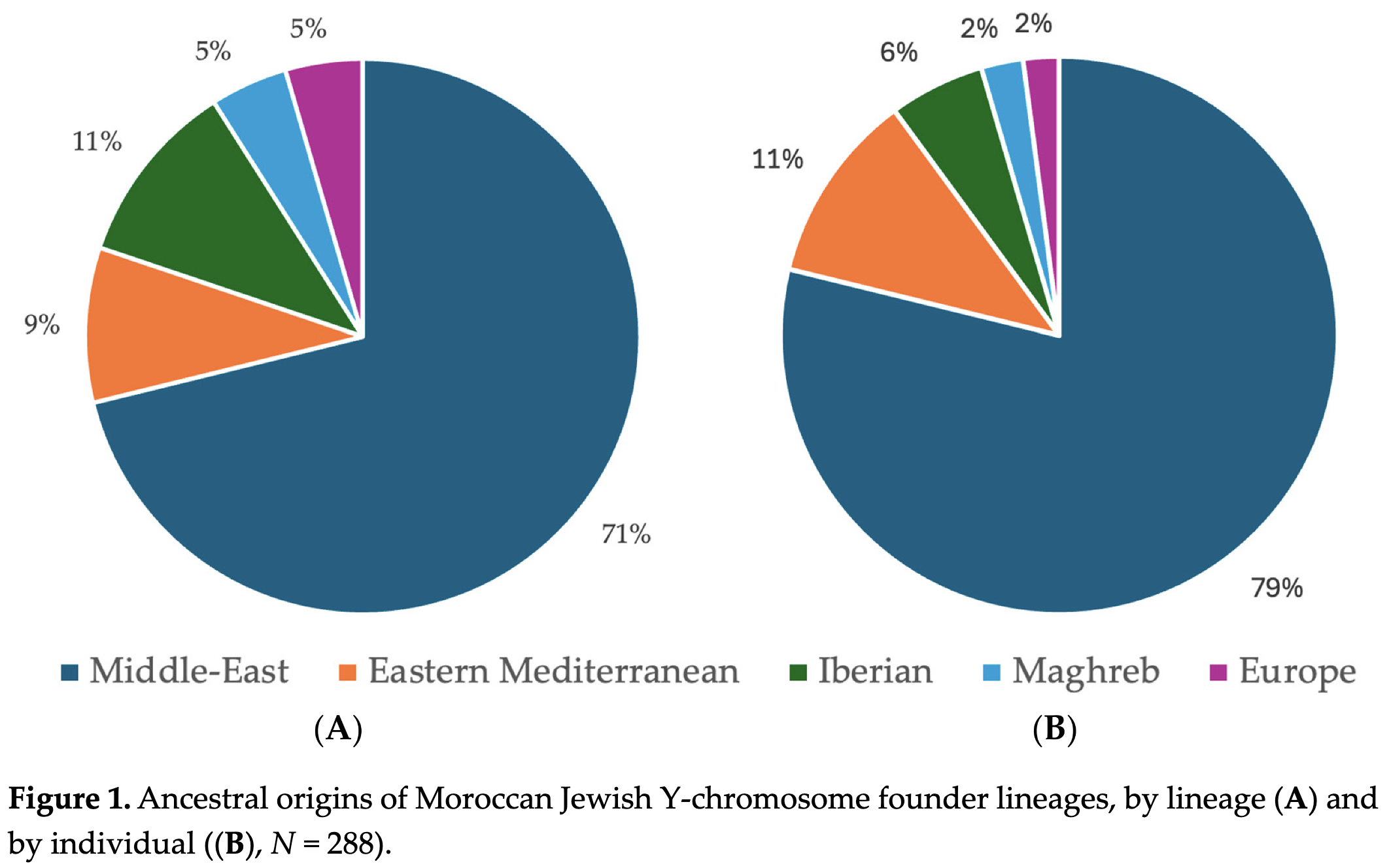 Pie charts of founder lineage origins, counted by lineage and by individual