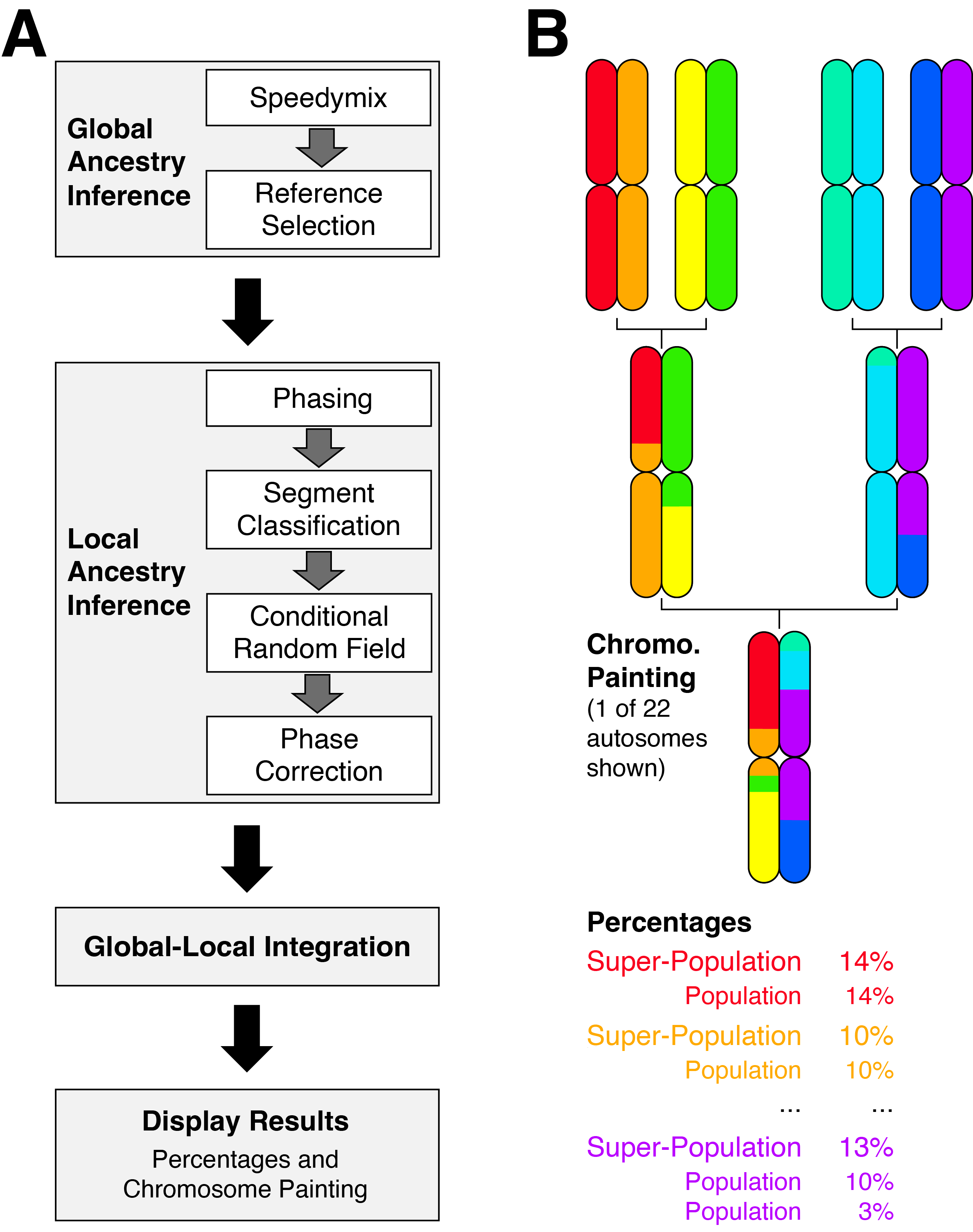 Workflow diagram for the myOrigins 3.0 ancestry pipeline