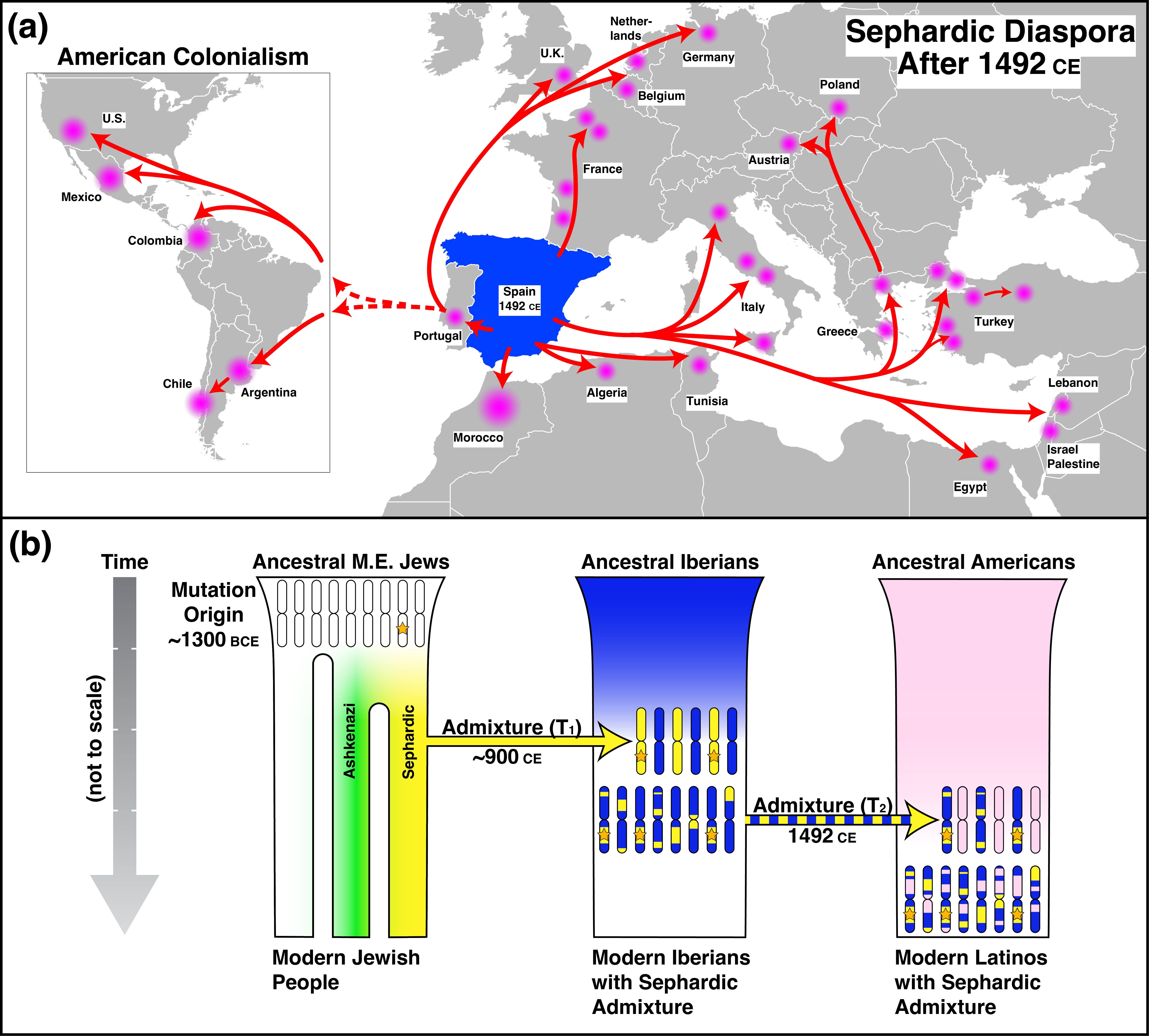 Map of the post-1492 Sephardic diaspora with a model of admixture timing