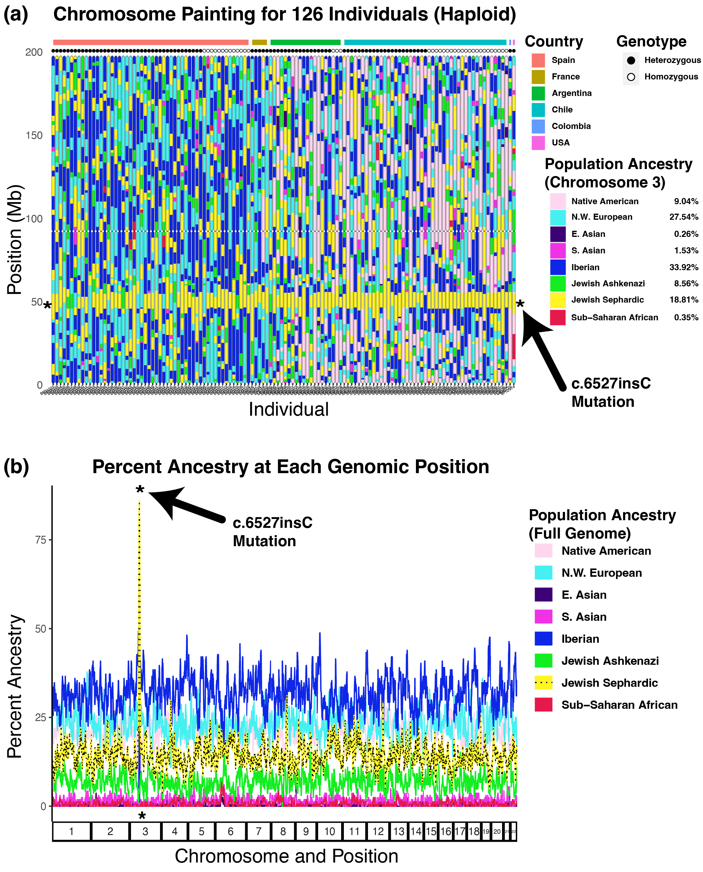 Chromosome painting across 128 individuals showing shared Sephardic ancestry at the mutation site